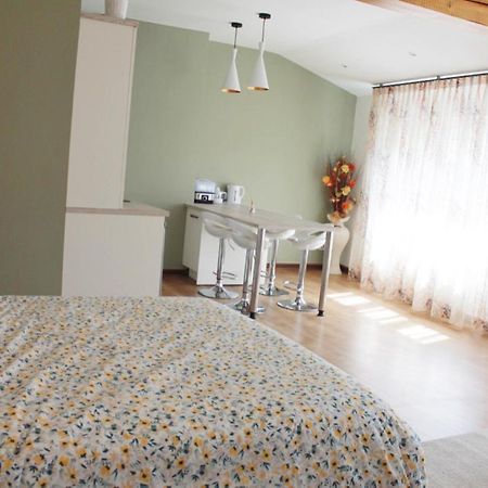 Saint Etienne : Appartement Chateaucreux 40 M2 Ngoại thất bức ảnh
