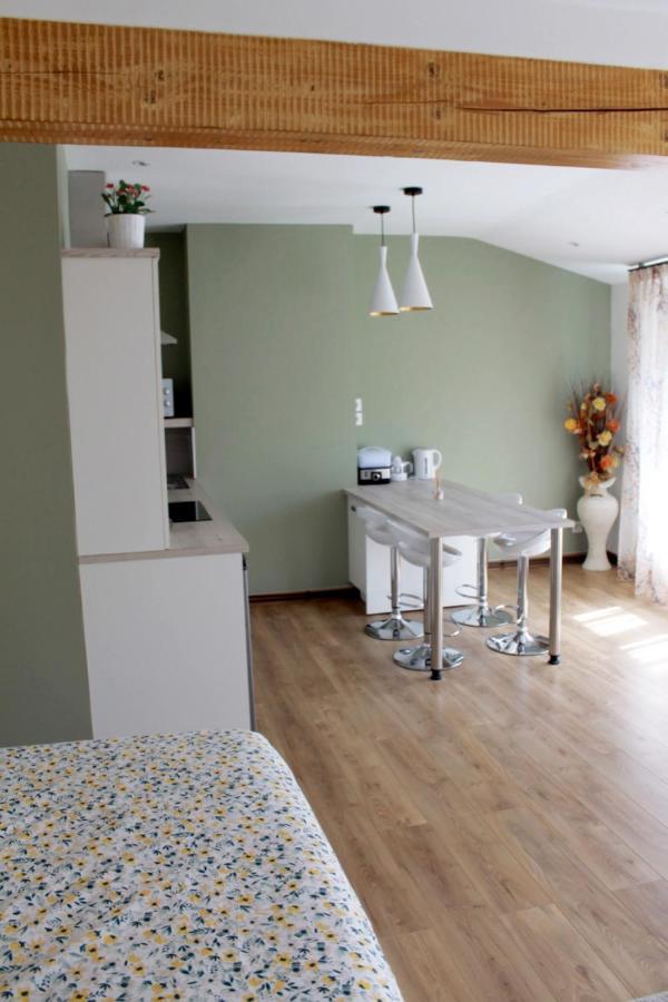 Saint Etienne : Appartement Chateaucreux 40 M2 Ngoại thất bức ảnh