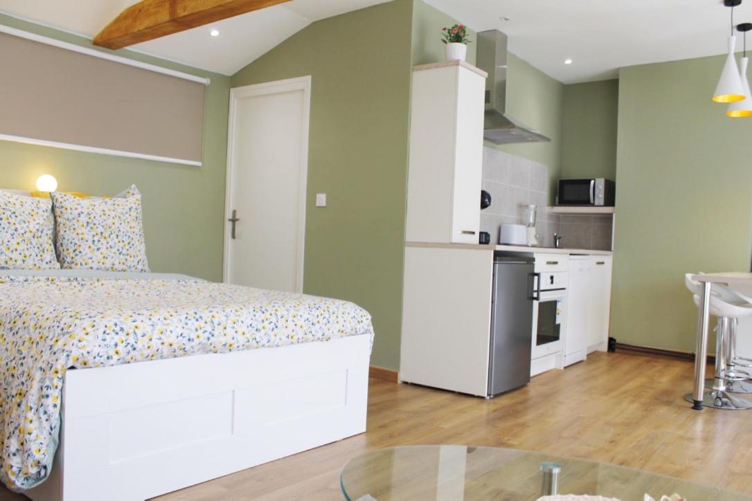 Saint Etienne : Appartement Chateaucreux 40 M2 Ngoại thất bức ảnh