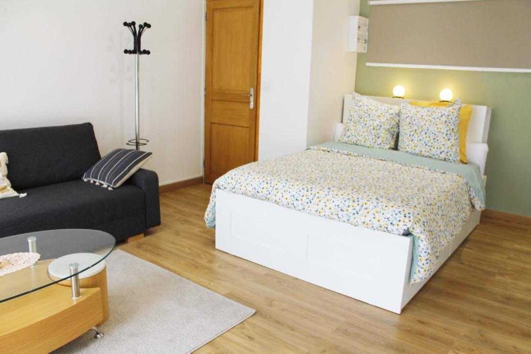 Saint Etienne : Appartement Chateaucreux 40 M2 Ngoại thất bức ảnh