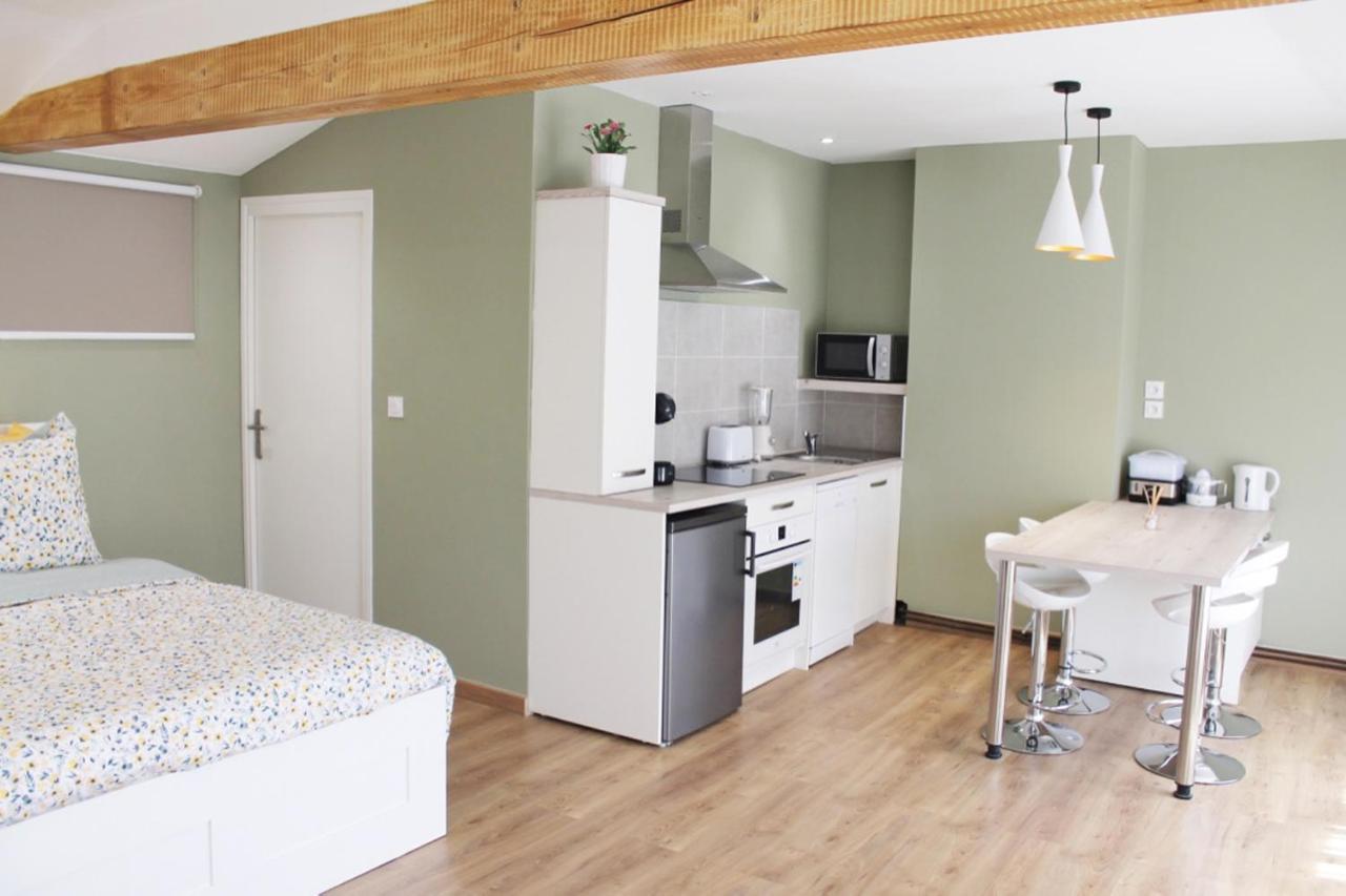 Saint Etienne : Appartement Chateaucreux 40 M2 Ngoại thất bức ảnh