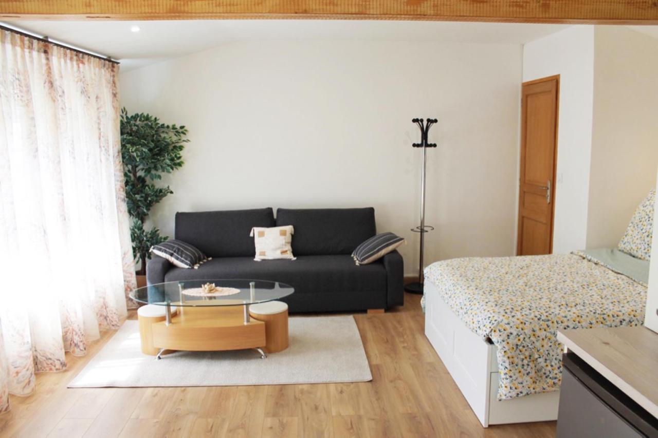 Saint Etienne : Appartement Chateaucreux 40 M2 Ngoại thất bức ảnh