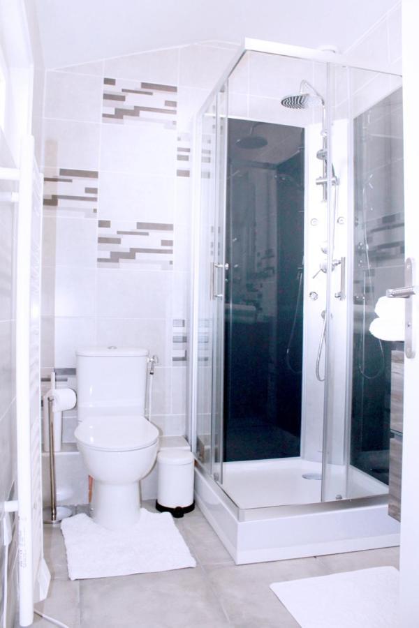 Saint Etienne : Appartement Chateaucreux 40 M2 Ngoại thất bức ảnh